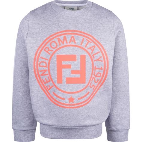 fendi roma sweatshirt|fendi roma t shirt price.